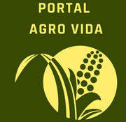 Logo Portal Agro vida